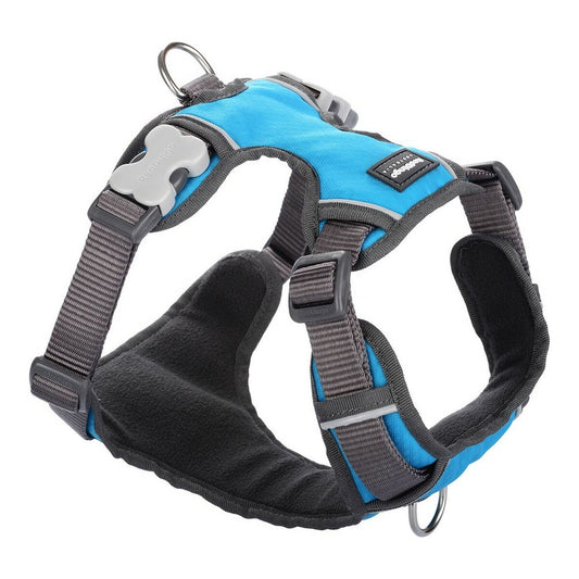 Dog Harness Red Dingo Padded Turquoise XS size - Hilman kauppa