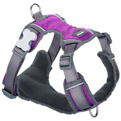 Dog Harness Red Dingo Dingo 25-36 cm 31-43 cm Purple XS - Hilman kauppa