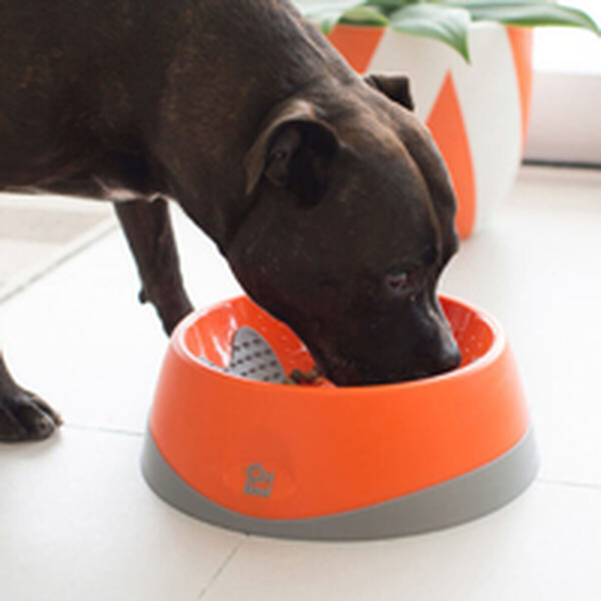 Dog Feeder Lickimat Oh Bowl Orange - Hilman kauppa