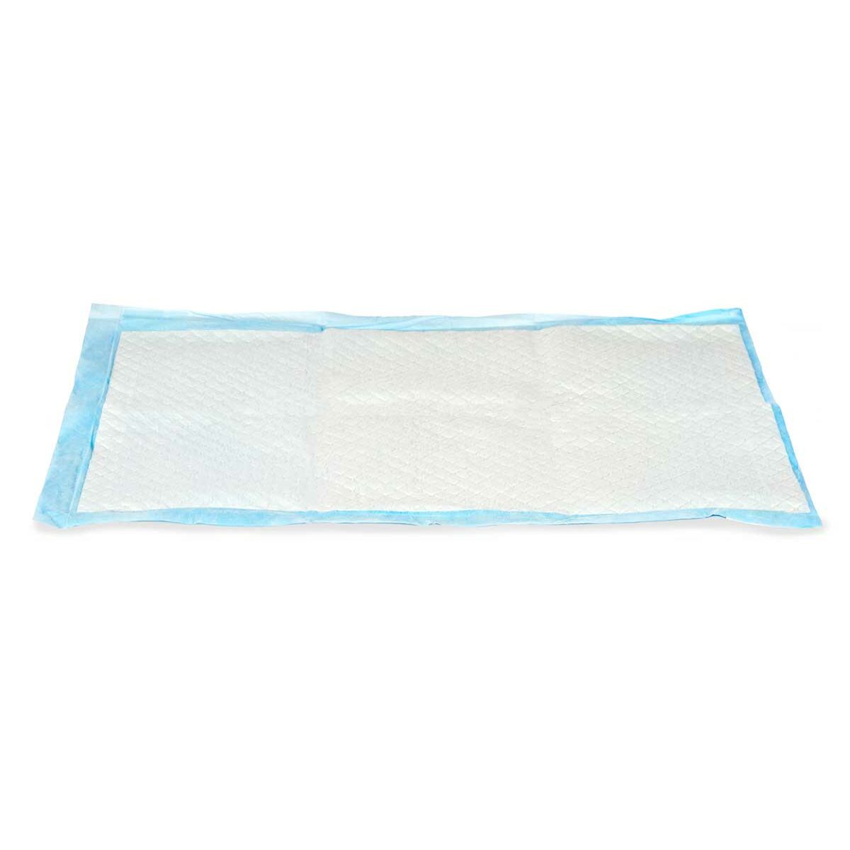 Puppy training pad 40 x 60 cm Blue White Paper Polyethylene (10 Units) - Hilman kauppa