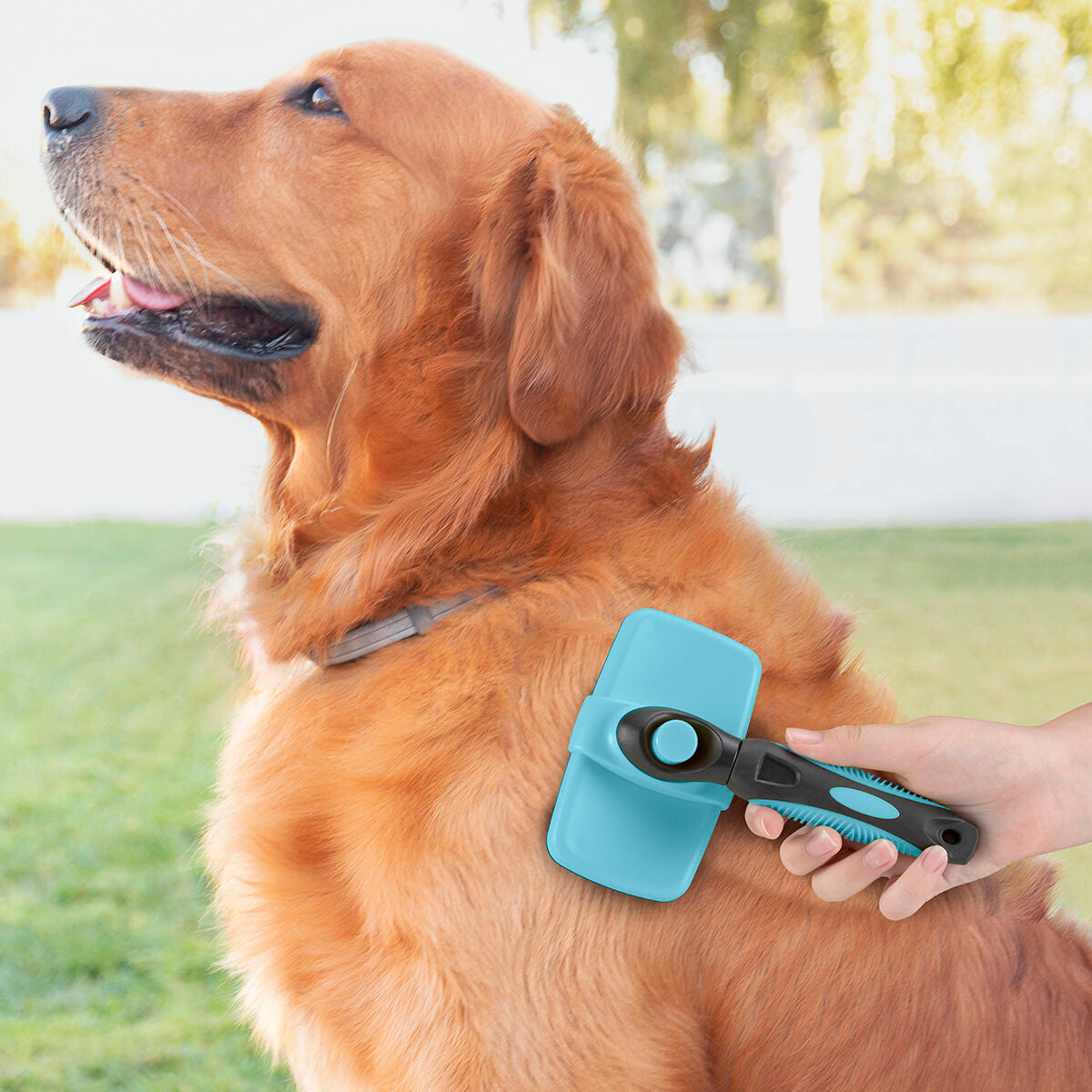 Cleaning Brush for Pets with Retractable Bristles Groombot InnovaGoods - Hilman kauppa