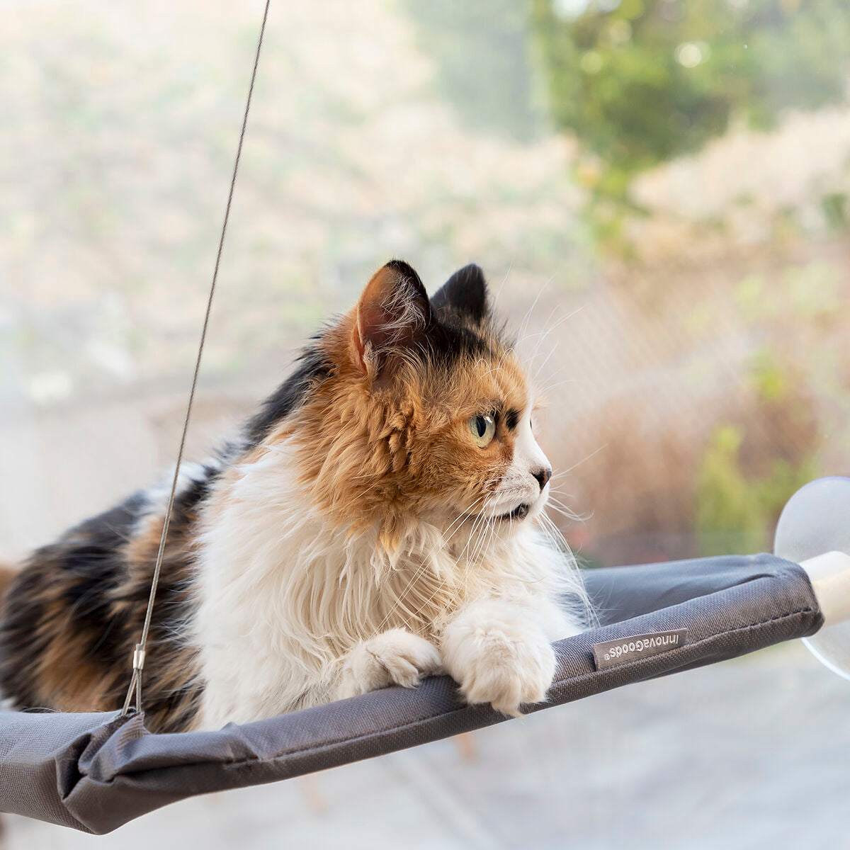 Hanging Cat Hammock Catlax InnovaGoods - Hilman kauppa