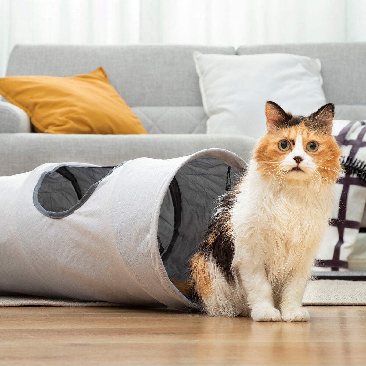 Collapsible Pet Tunnel Funnyl InnovaGoods - Hilman kauppa