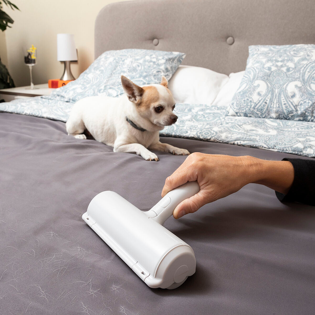 Pet Hair Remover Roller Rellair InnovaGoods - Hilman kauppa